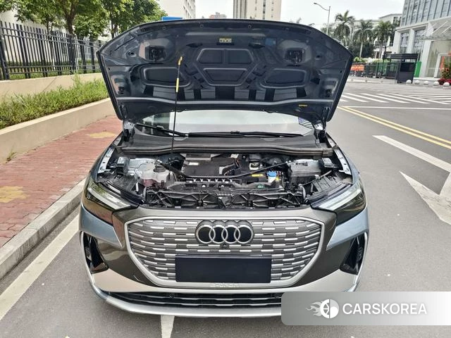 Audi Q4 e-tron 2024 Другой из Китая