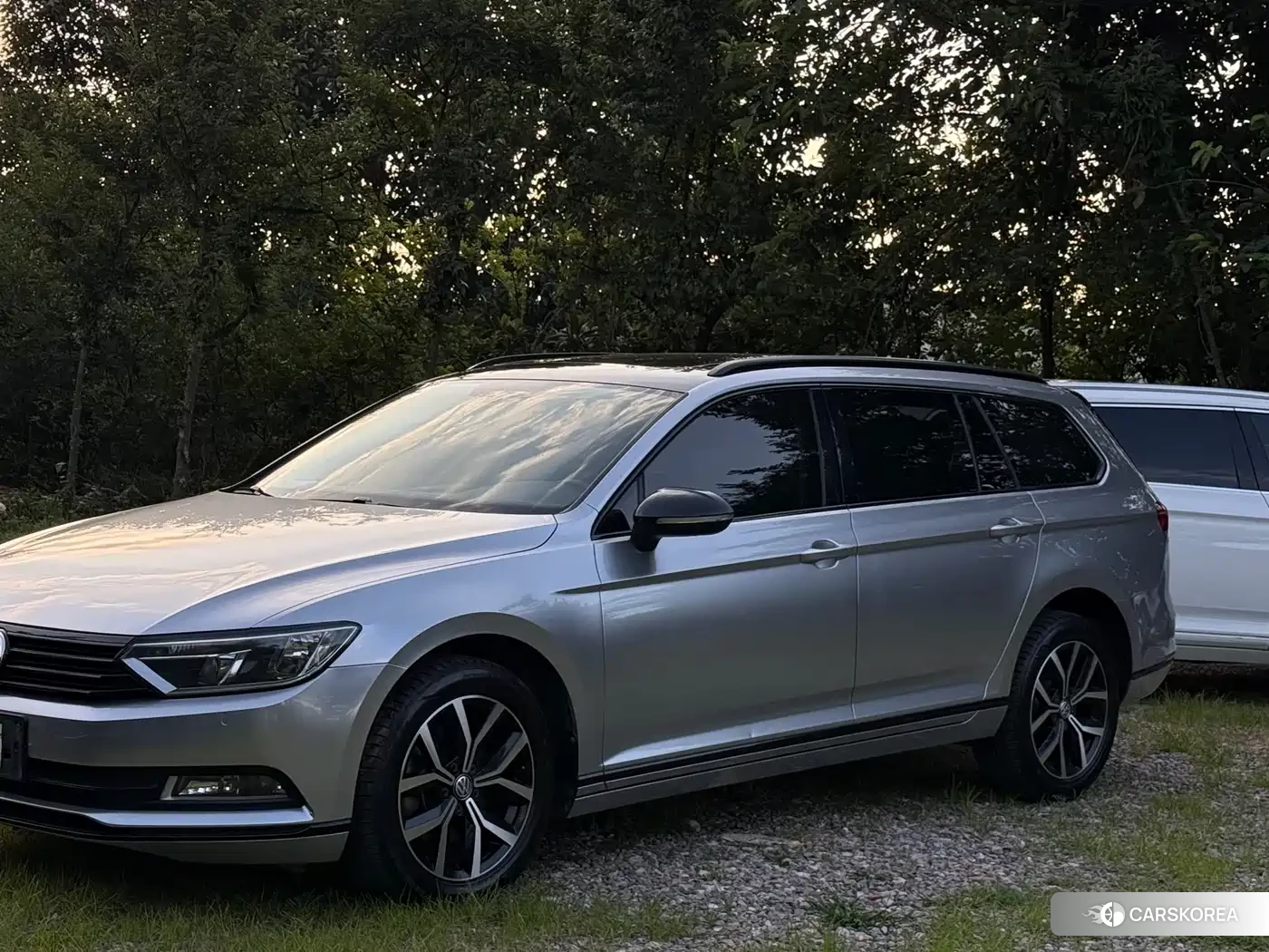 Volkswagen Wei Lan 2019 Silver/gray из Китая