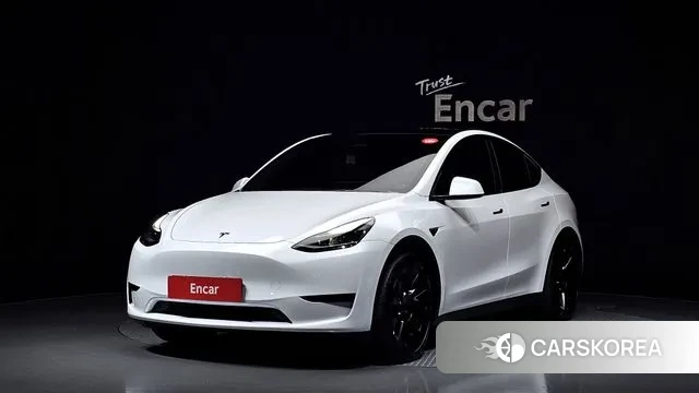 Tesla Model Y 2023 Белый из Кореи