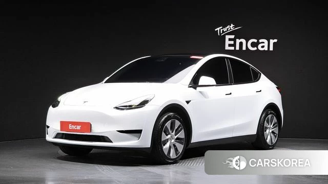 Tesla Model Y 2023 Белый из Кореи