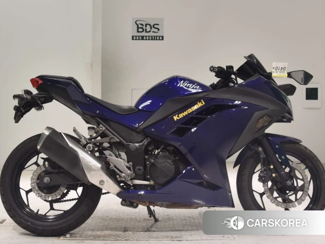 Проданный Kawasaki NINJA 250 2014 из Японии