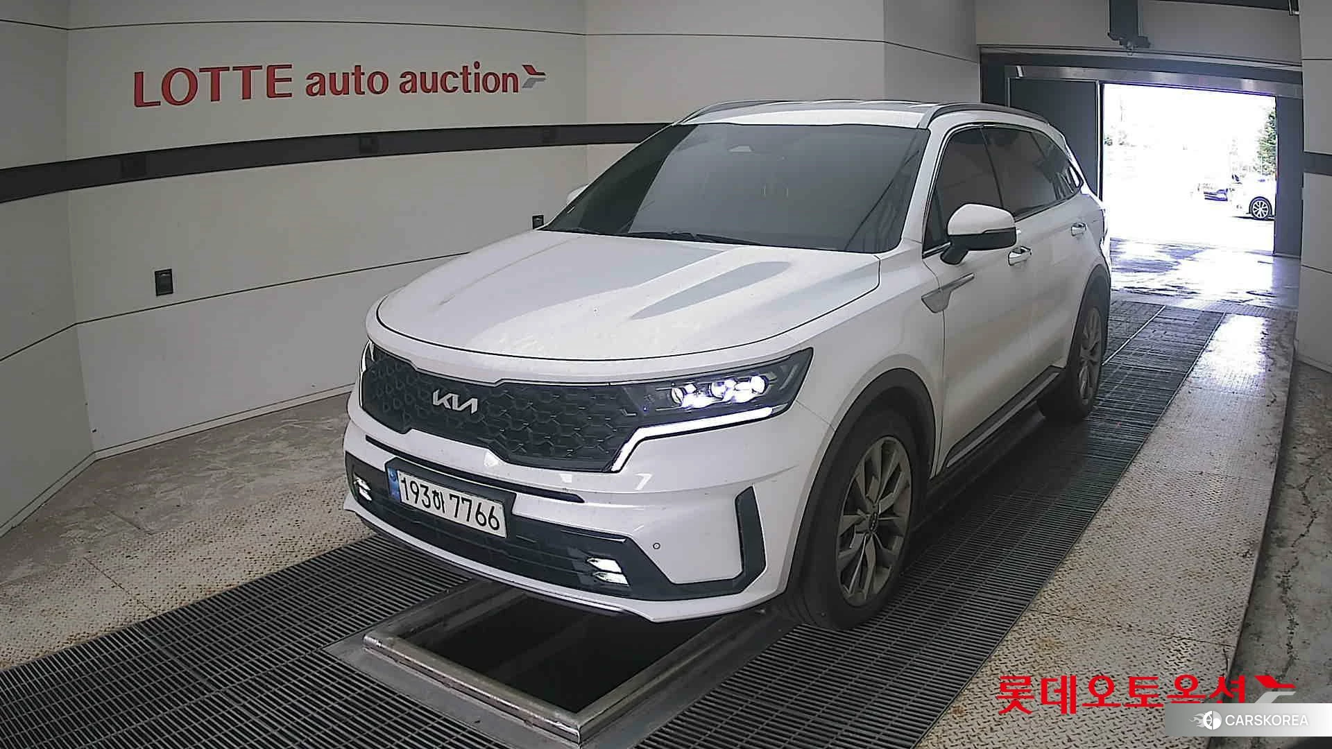 Kia Sorento 2022 Snow White Pearl (optional) из Кореи
