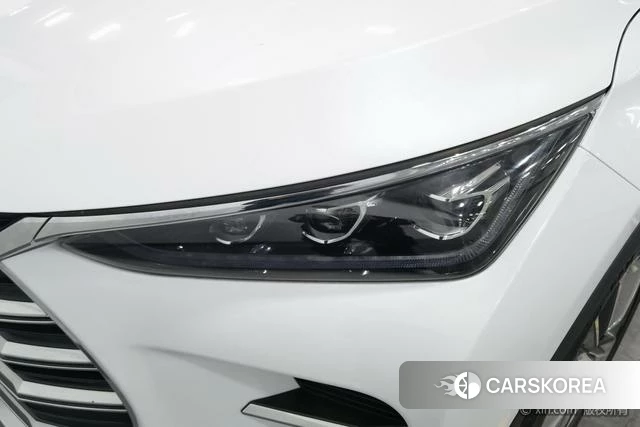 BYD Tang DM 2019 Белый из Китая