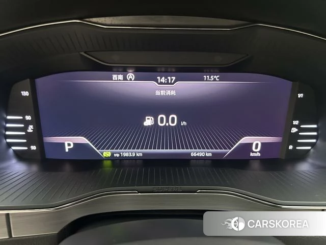 Skoda Speed pie 2020 Черный из Китая