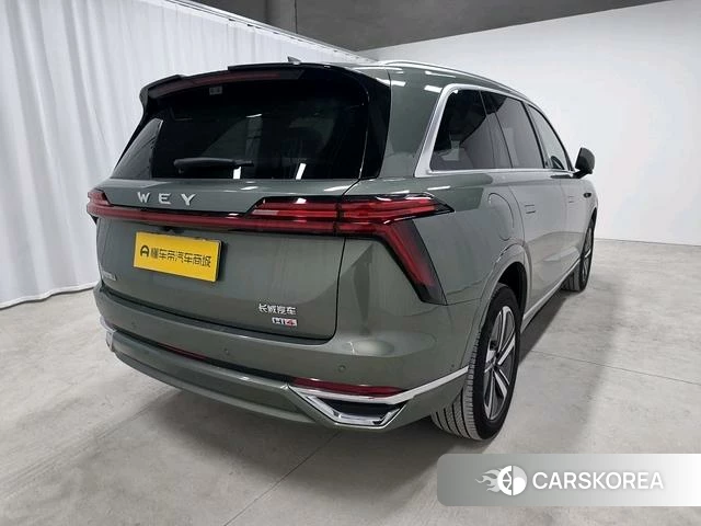 Wei Pai Blue Mountain 2025 Зеленый из Китая