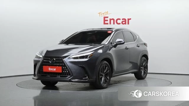 Lexus NX350h Second generation 2024 Серый из Кореи