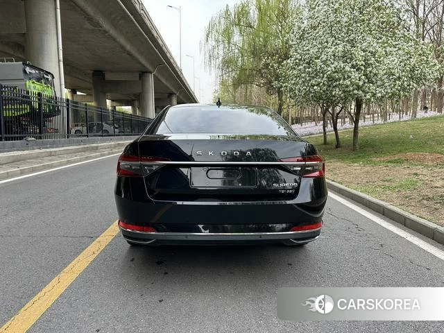 Skoda Speed pie 2021 Черный из Китая