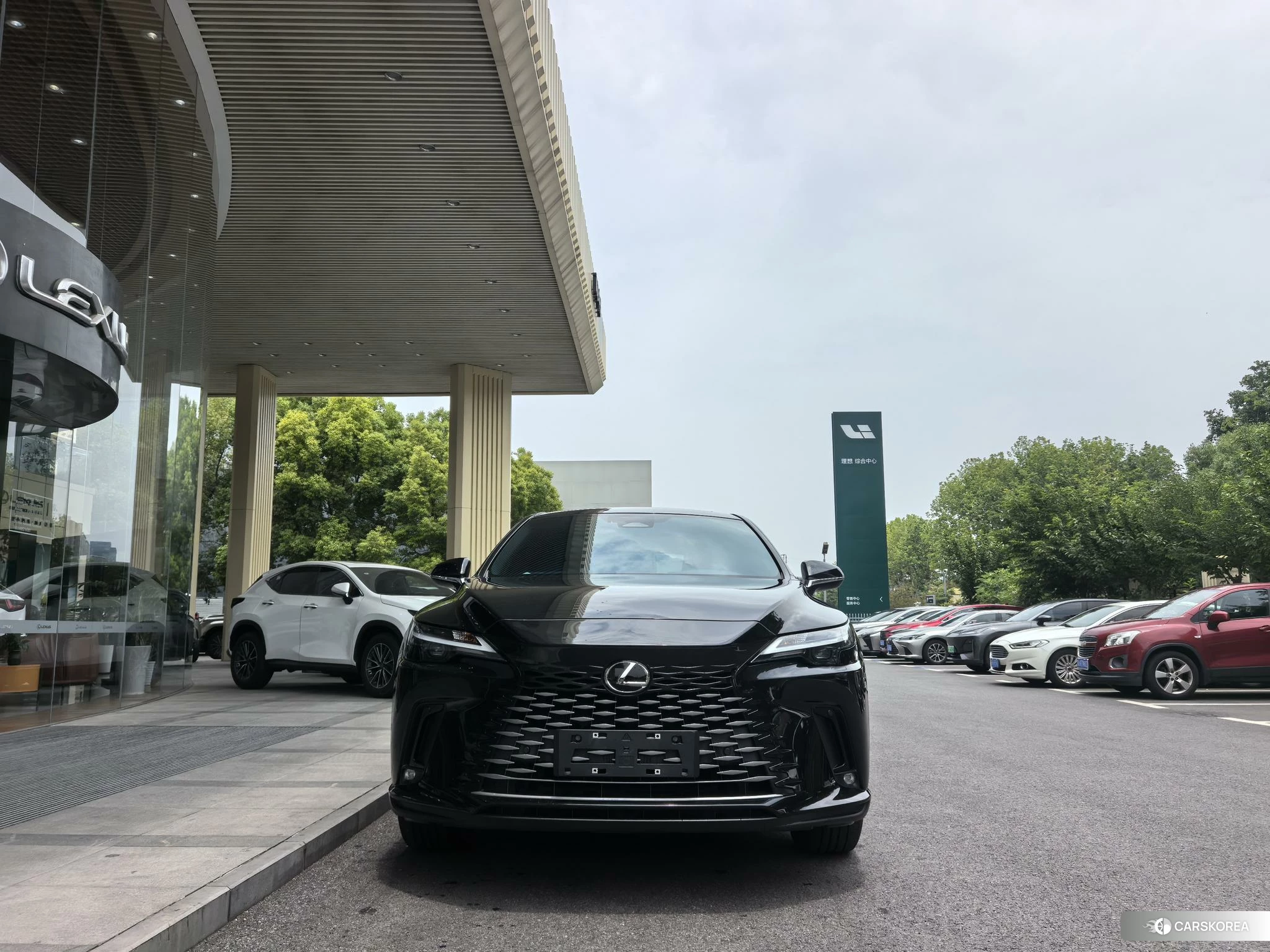 Lexus RX 2023 Черный из Китая