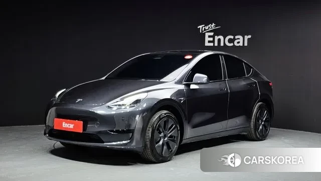 Tesla Model Y 2024 Серый из Кореи