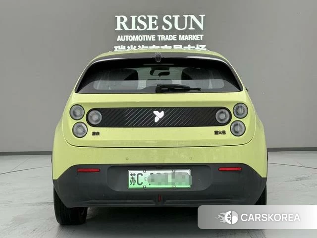 firefly firefly Unknown 2025 Зеленый из Китая