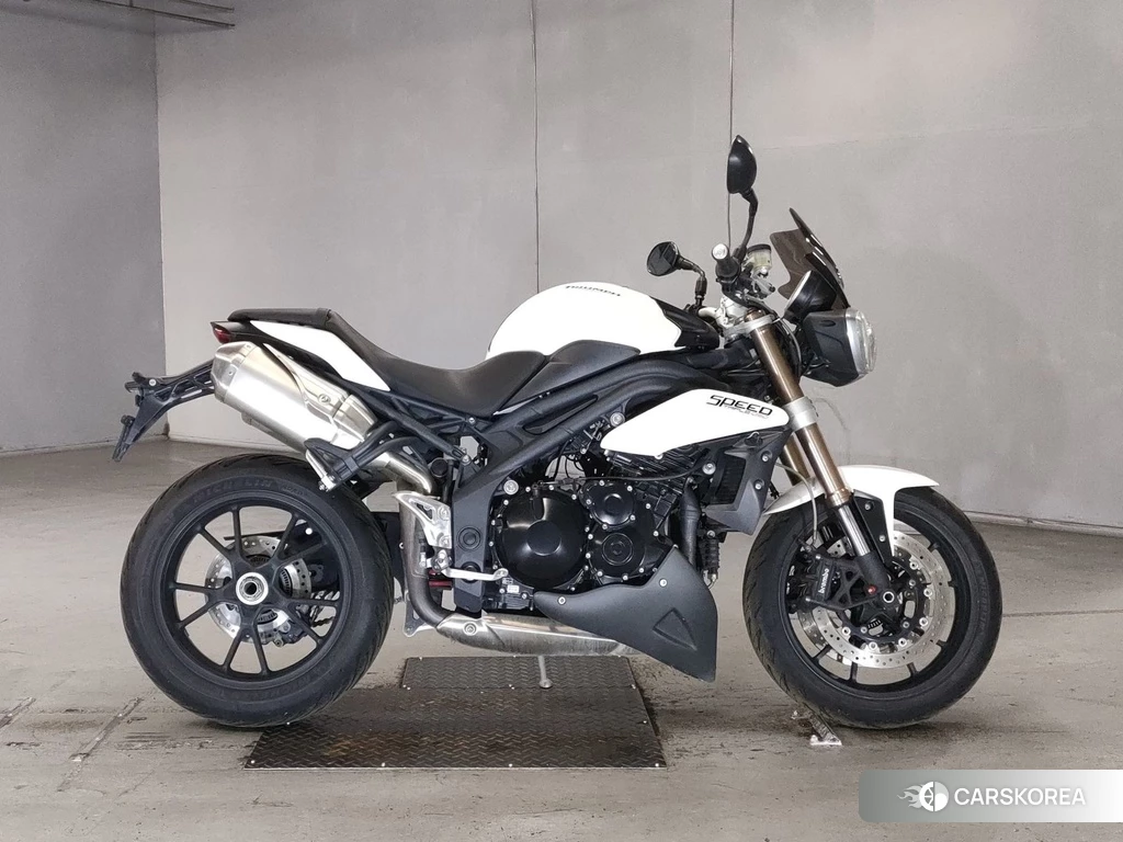 Проданный Triumph SPEED TRIPLE 2011 из Японии