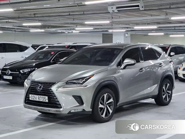 Lexus NX300h 2019 Серый из Кореи