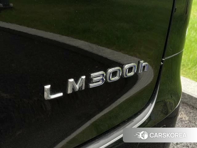 Lexus LM 2021 Черный из Китая