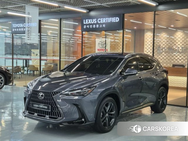 Lexus NX350h Second generation 2024 Серый из Кореи