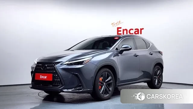 Lexus NX350h Second generation 2024 Серый из Кореи