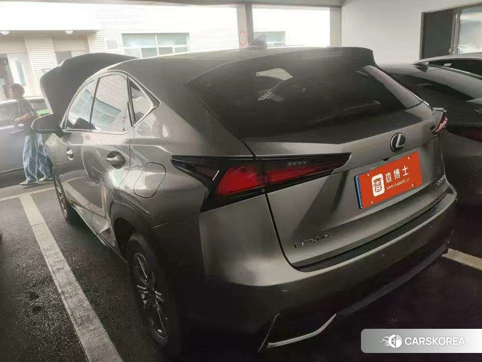 Lexus NX 2019 Серебристо-серый из Китая
