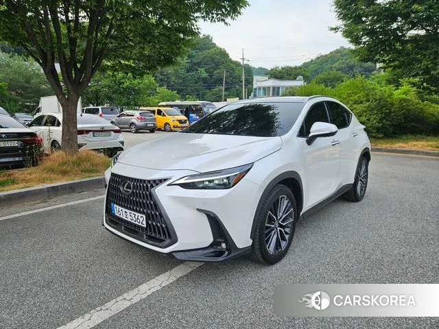 Lexus NX350h Second generation 2024 Белый из Кореи