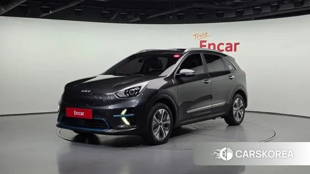 Kia Niro EV 2021 Серый из Кореи