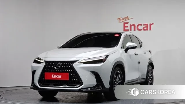 Lexus NX350h Second generation 2023 Белый из Кореи