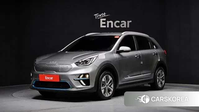 Kia Niro EV 2021 Серый из Кореи