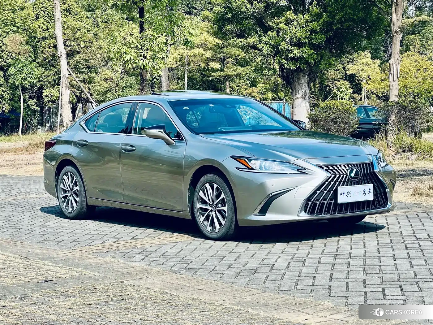 Lexus ES 2023 Silver/gray из Китая