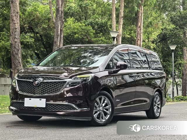 Buick GL8 id 4222063 из Китая