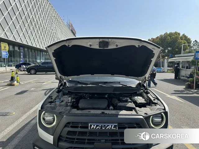 Haval Big dog 2022 Белый из Китая