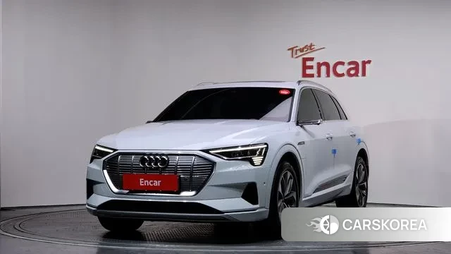 Audi e-Tron 2022 Белый из Кореи