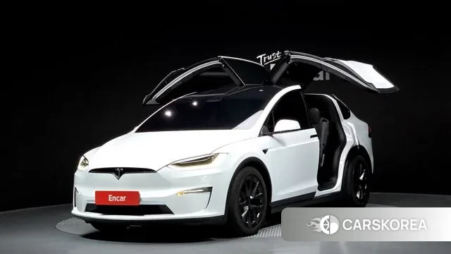 Tesla Model X 2023 Белый из Кореи