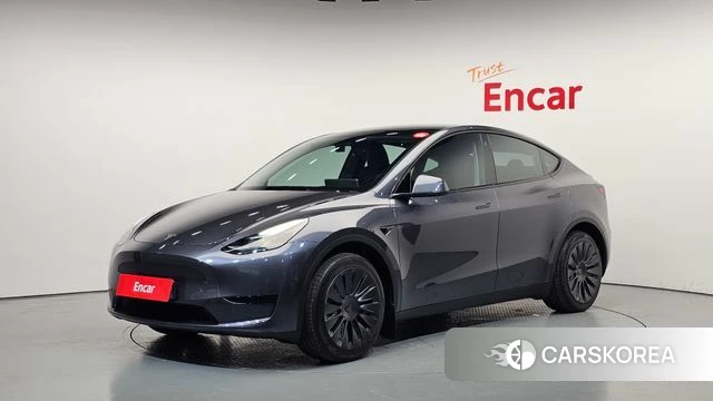 Tesla Model Y 2023 Серый из Кореи