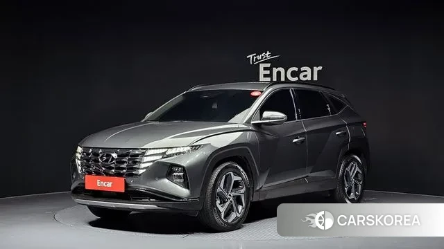 Hyundai Tucson Hybrid (NX4) 2023 Серый из Кореи