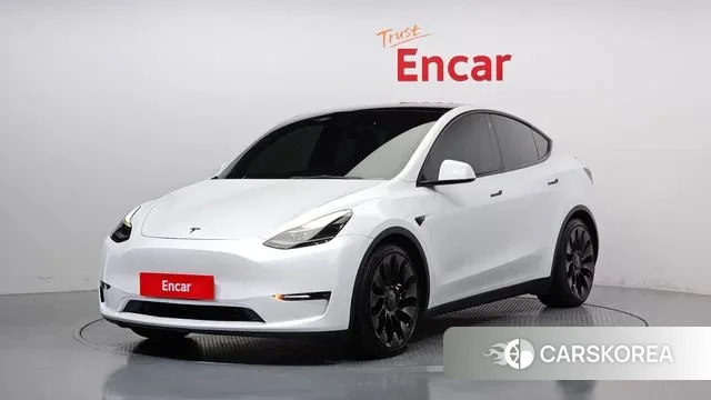 Tesla Model Y 2021 Белый из Кореи