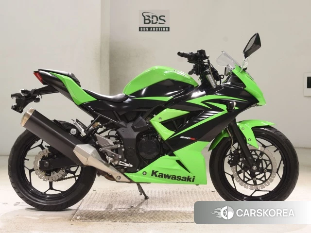 Проданный Kawasaki NINJA 250SL 2015 из Японии