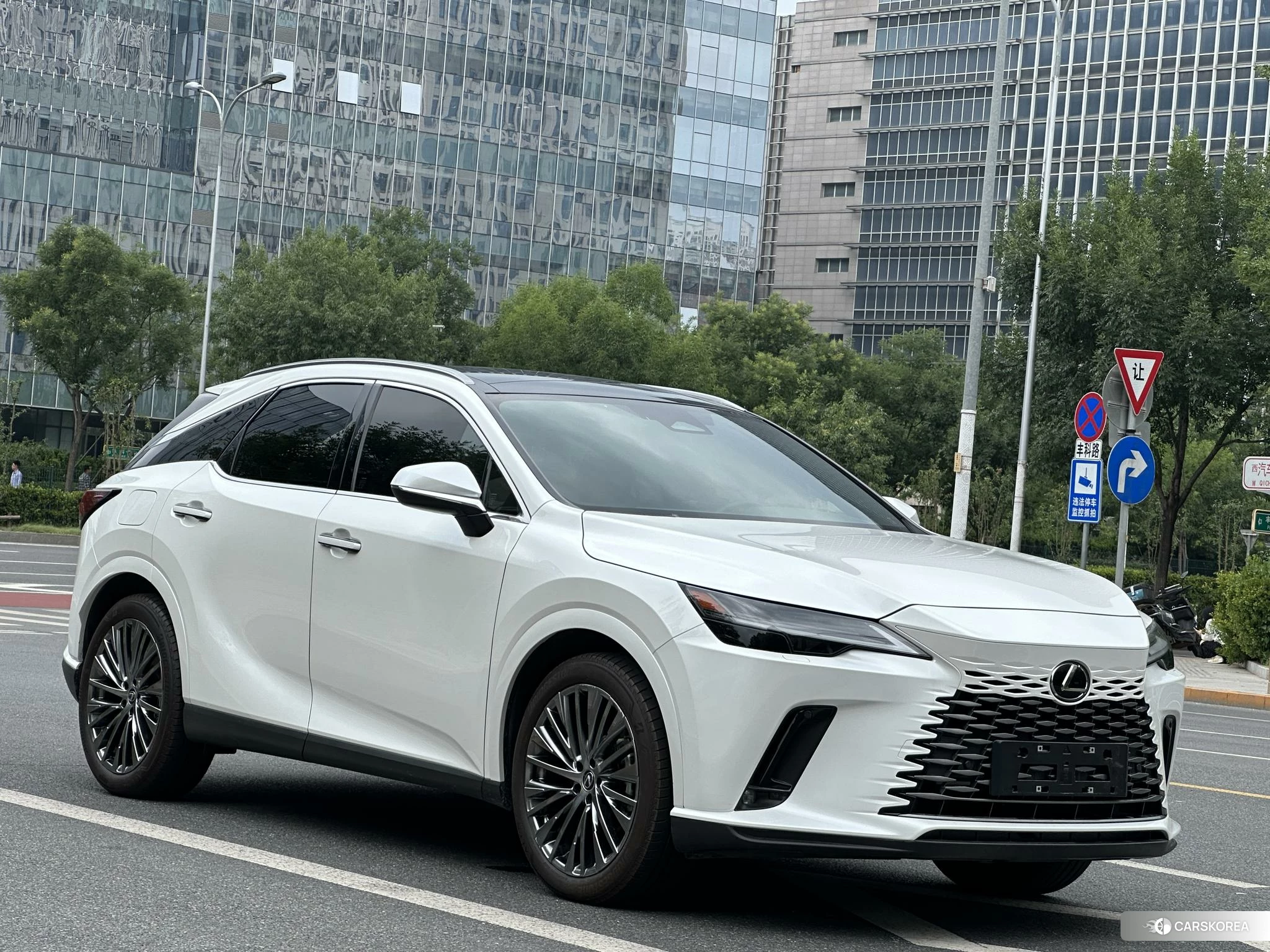 Lexus RX PHEV 2023 Белый из Китая