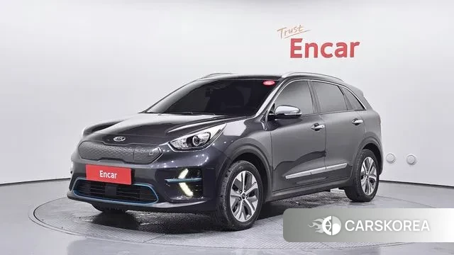 Kia Niro EV 2019 Серый из Кореи