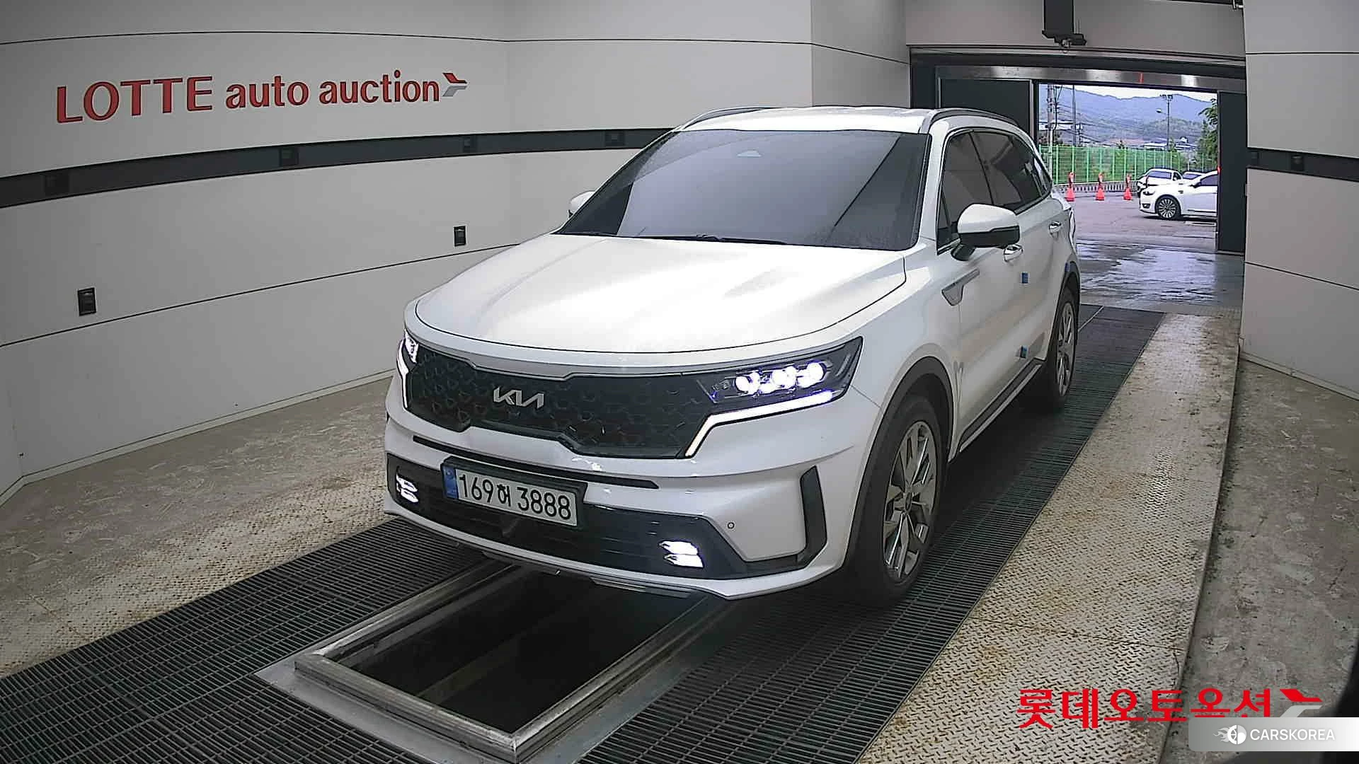 Kia Sorento 2022 Snow White Pearl (optional) из Кореи