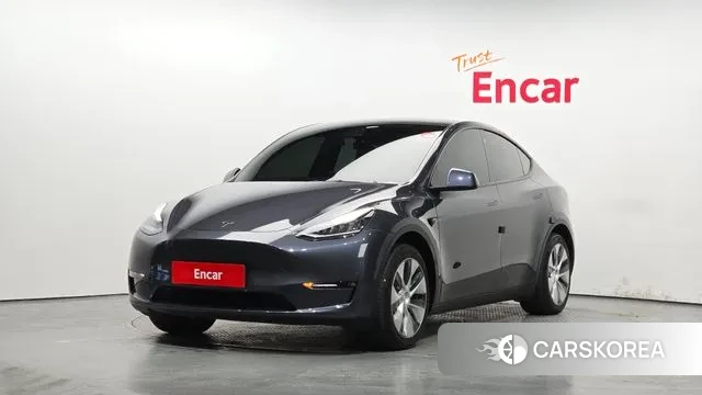Tesla Model Y 2021 Серый из Кореи