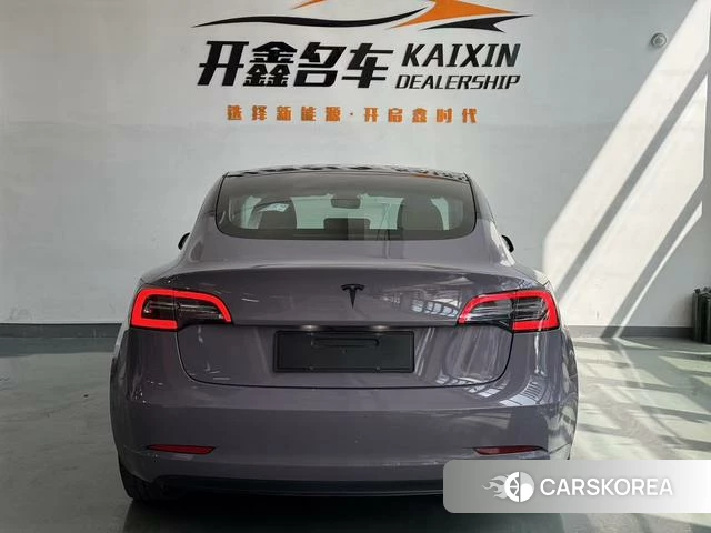 Tesla Model 3 2021 Фиолетовый из Китая