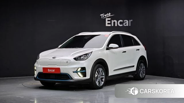 Kia Niro EV 2019 Белый из Кореи