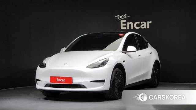 Tesla Model Y 2023 Белый из Кореи