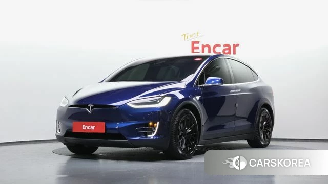 Tesla Model X 2019 Синий из Кореи
