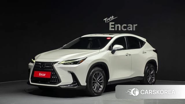 Lexus NX450h + 2nd generation 2024 Белый из Кореи