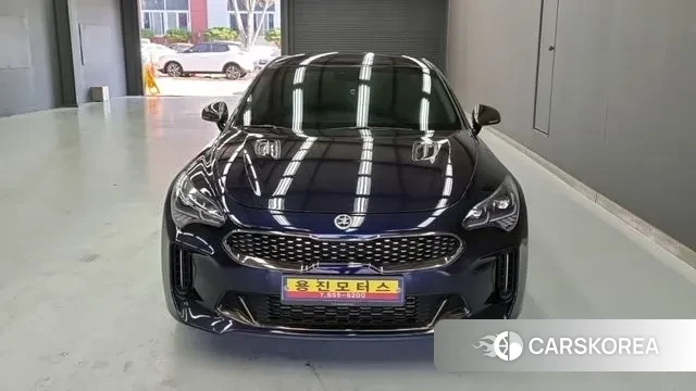 Kia Stinger 2018 Темно-зеленый из Кореи