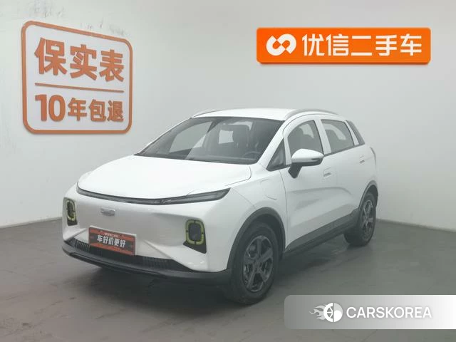 Geely Geometry E firefly 2023 Белый из Китая