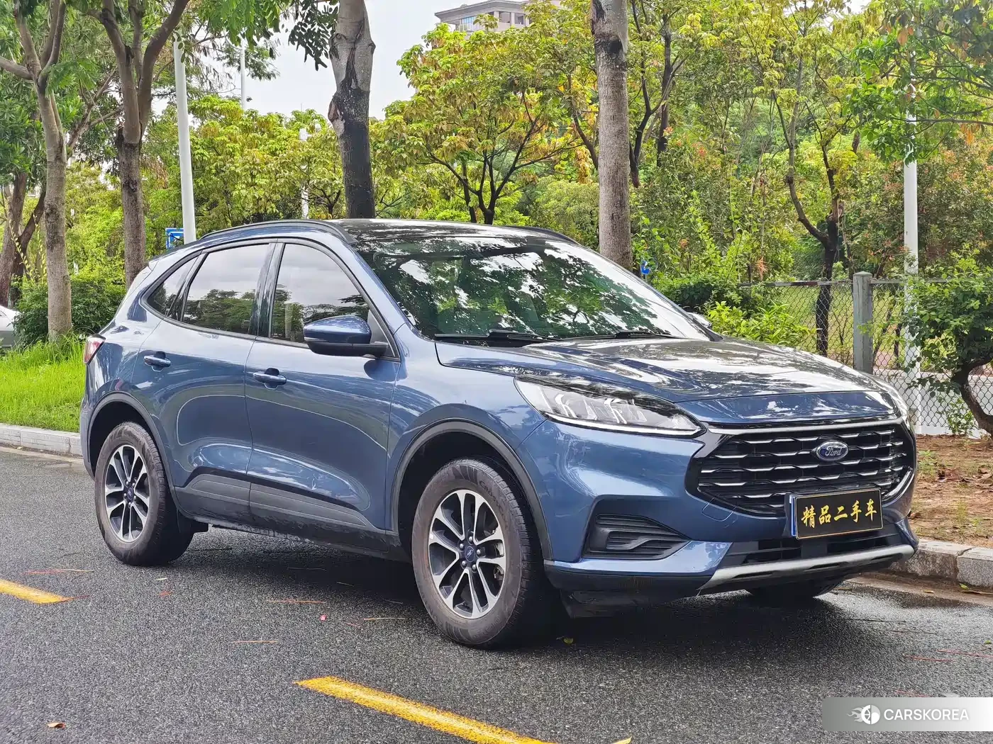 Ford Ruiji 2021 Синий из Китая