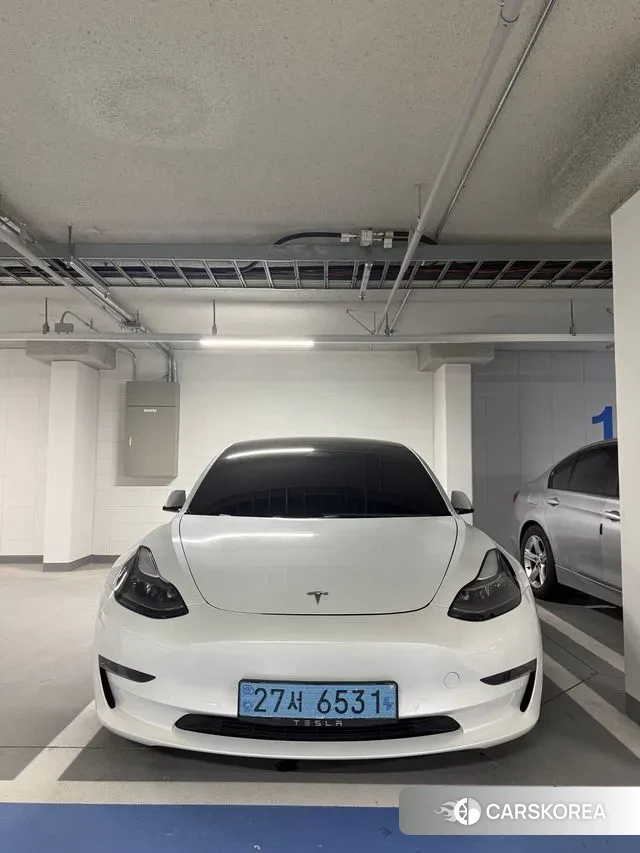 Tesla Model 3 2021 Белый из Кореи