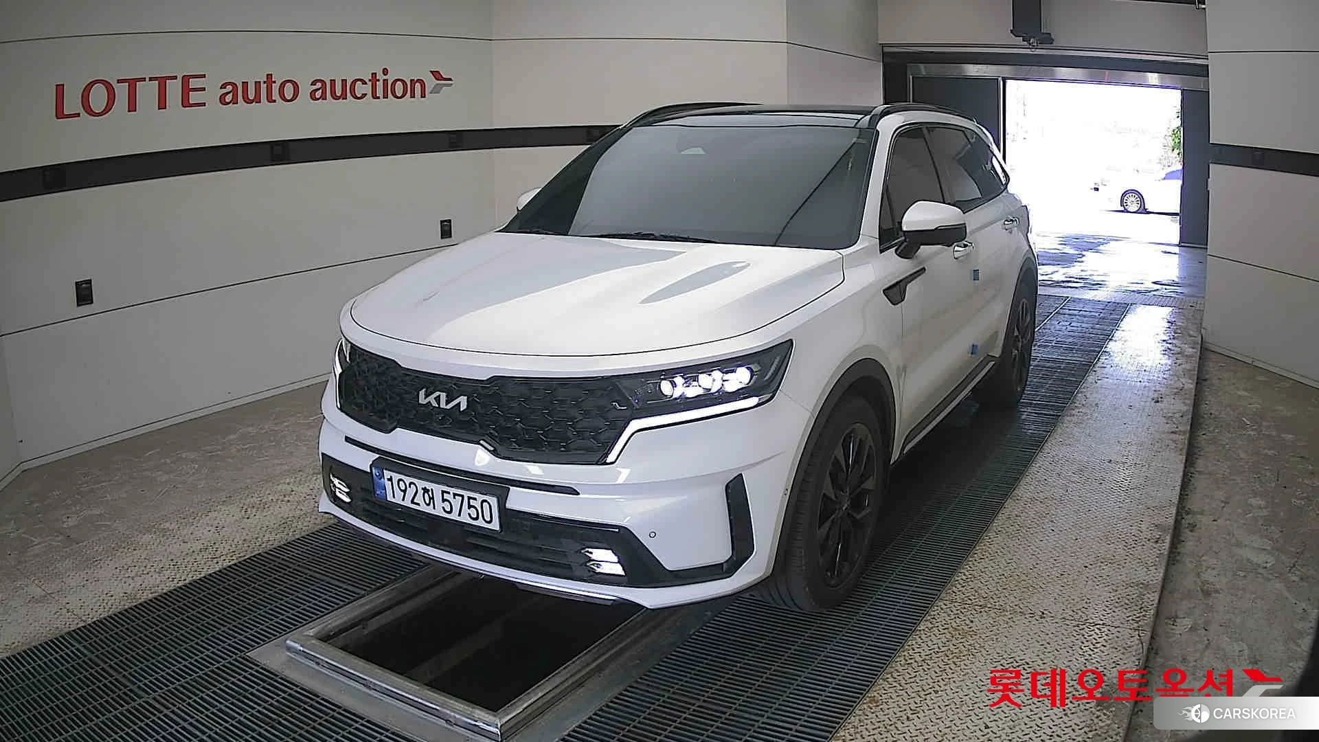 Kia Sorento 2023 Snow White Pearl (optional) из Кореи