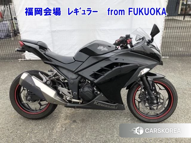 Проданный Kawasaki NINJA 250 2014 из Японии