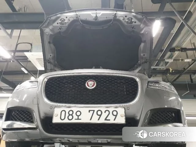 Jaguar XF (X260) 2019 Серый из Кореи