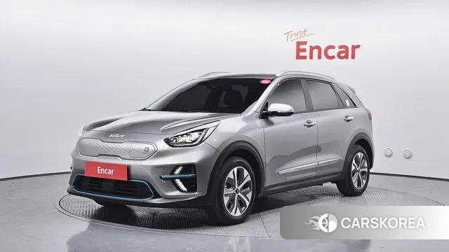 Kia Niro EV 2021 Серый из Кореи